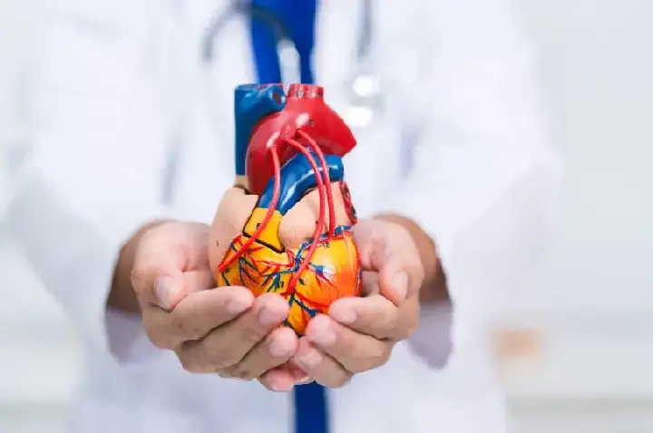 Cardiologistas destacam alimento que pode ajudar a proteger o coração