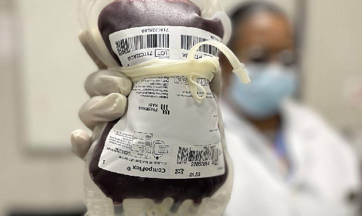 Lei cria Junho Vermelho para incentivar doação de sangue