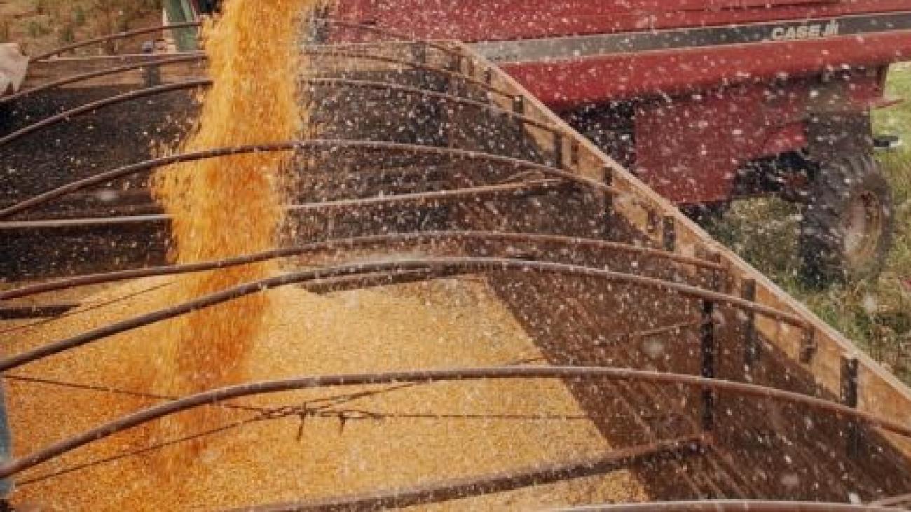 Navio carregado de grãos deixa Ucrânia e desafia bloqueio russo