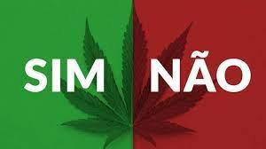 STF parou julgamento a um voto de descriminalizar porte de maconha