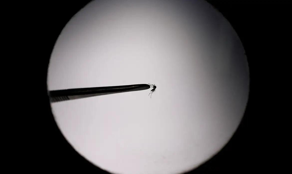 Dengue: Startup propõe uso de drones para combater o mosquito