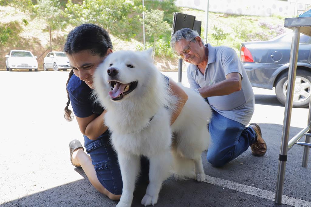 Posto fixo de vacinação contra raiva segue com atendimento em maio