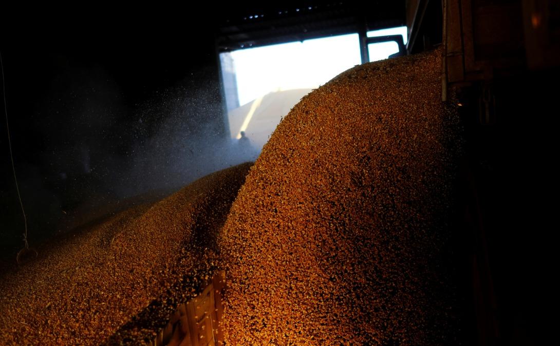 Governo lança nesta quarta-feira Plano Safra 2024/25