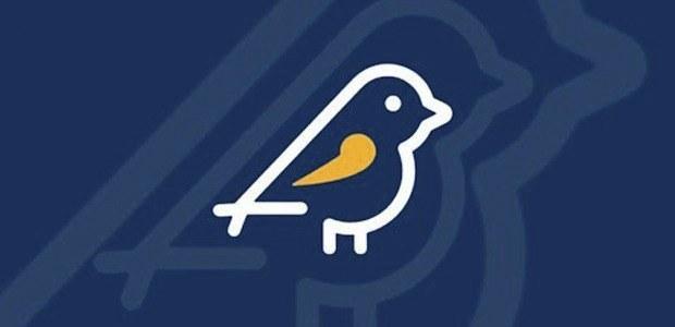 Aplicativo Pardal recebe mais de 4 mil denúncias no 1º fim de semana de campanha eleitoral