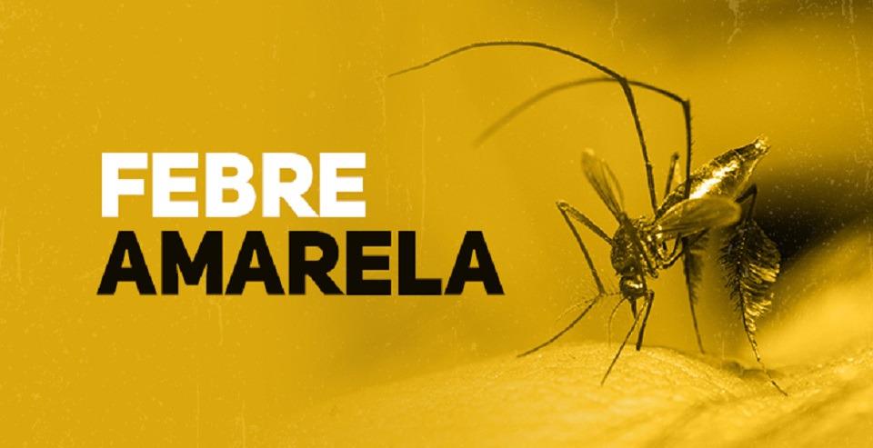 Febre amarela: Governo de SP reforça vacinação e alerta para cuidados em áreas de mata