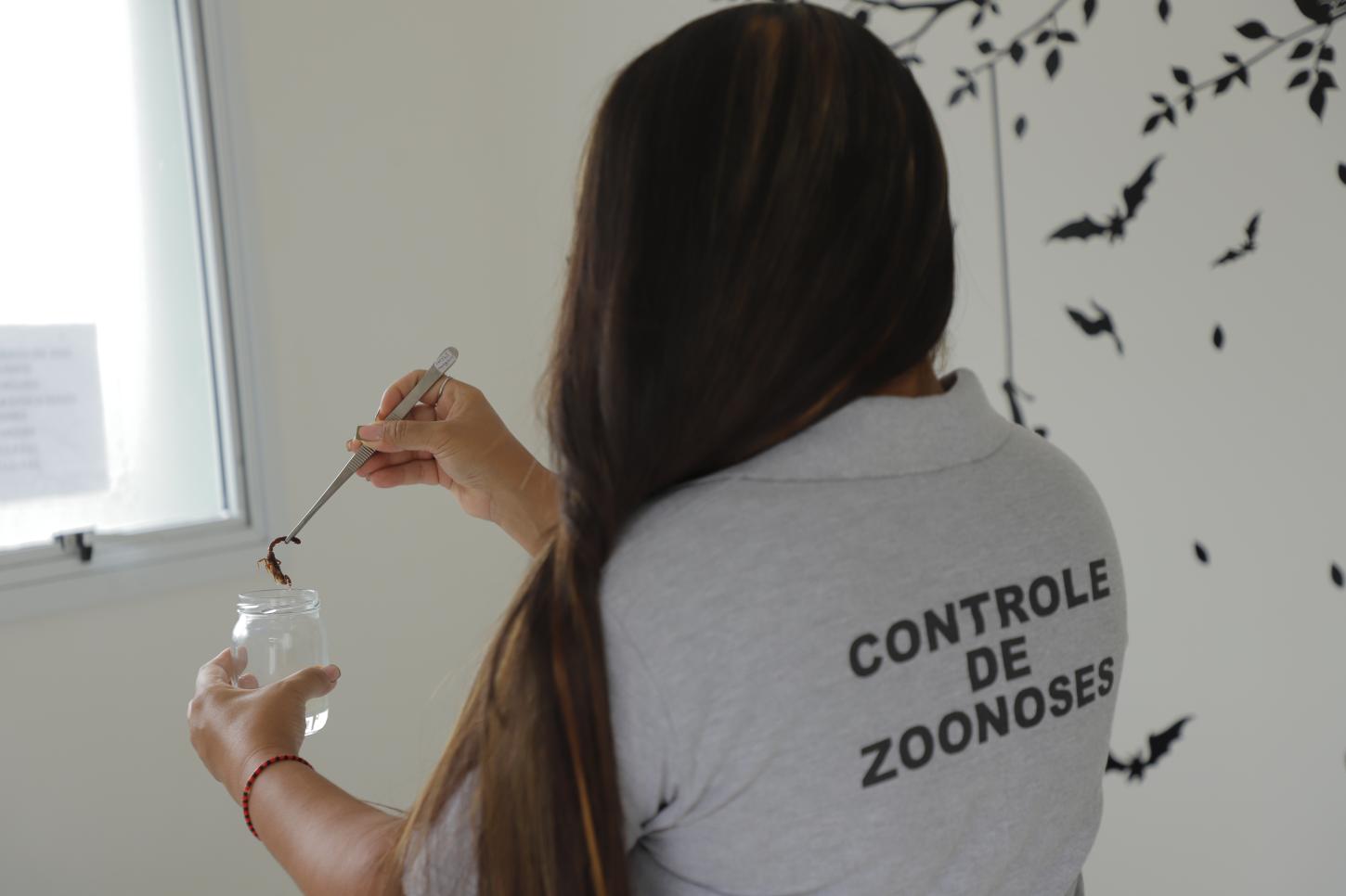 Tome cuidado com os animais peçonhentos