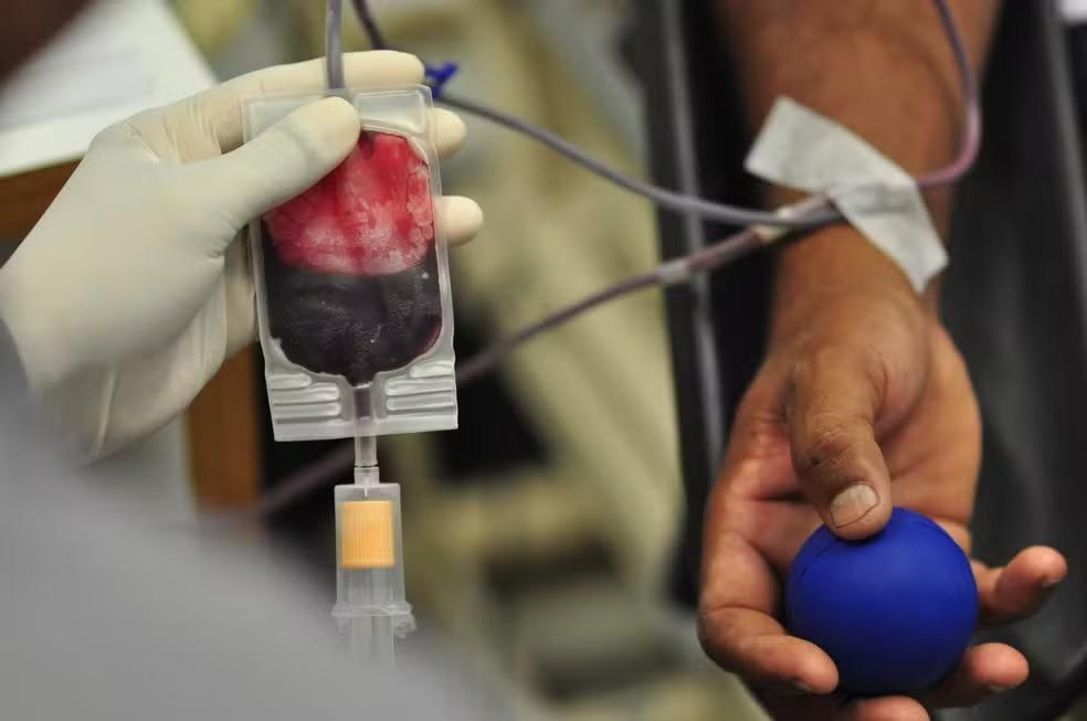 Na véspera do dia do doador de sangue, jovens reforçam estoques de sangue antes do inverno em SP; veja onde doar