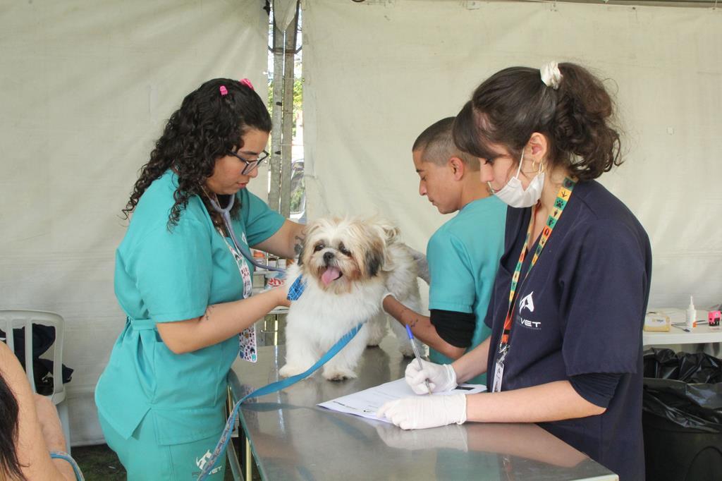 Dia Animal acontece neste fim de semana em Barueri