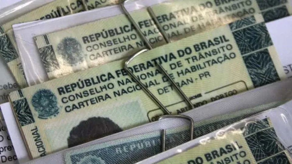 Câmara aprova cassar CNH de quem usar carro para abandonar animais na rua