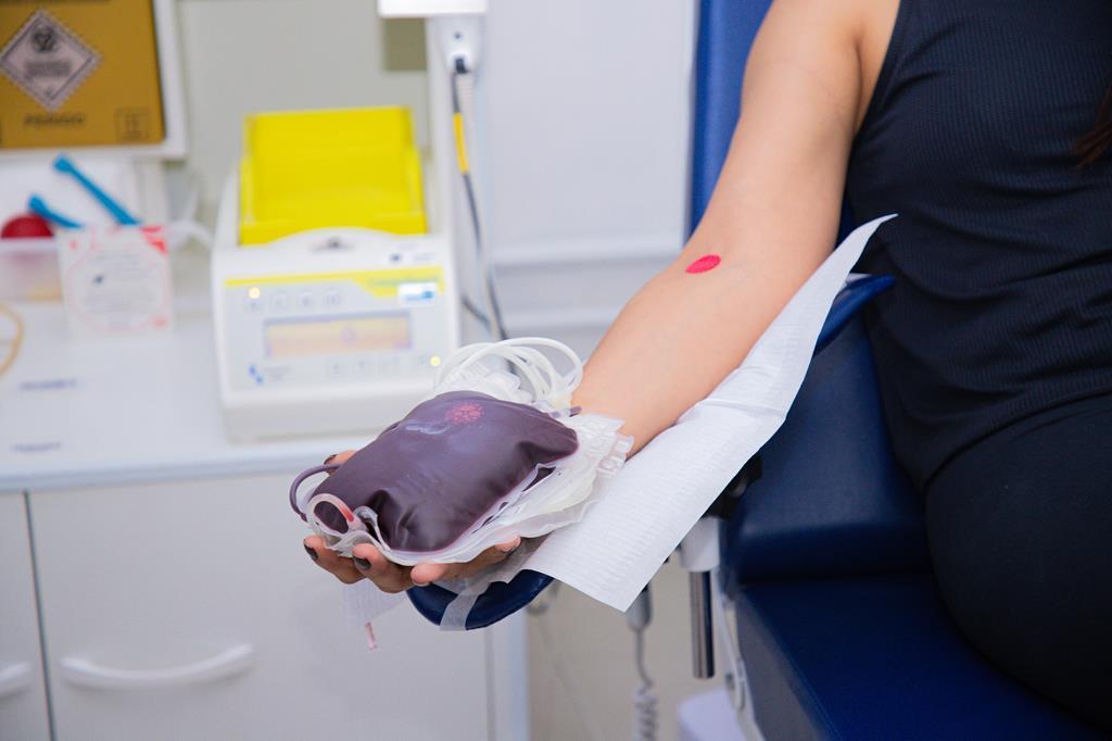 Conheça os requisitos para a doação de sangue